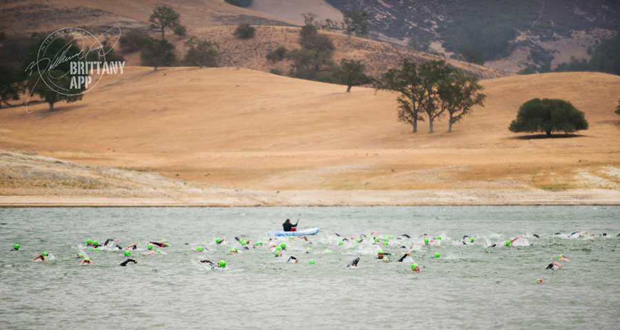 The Wildflower Experience Announces Speed Hound as Official Swim Training Sponsor