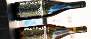 Two bottles of Wildflower Experience Wine. One red wine, one rose wine.