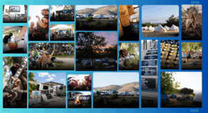 Background collage of pictures from Wildflower